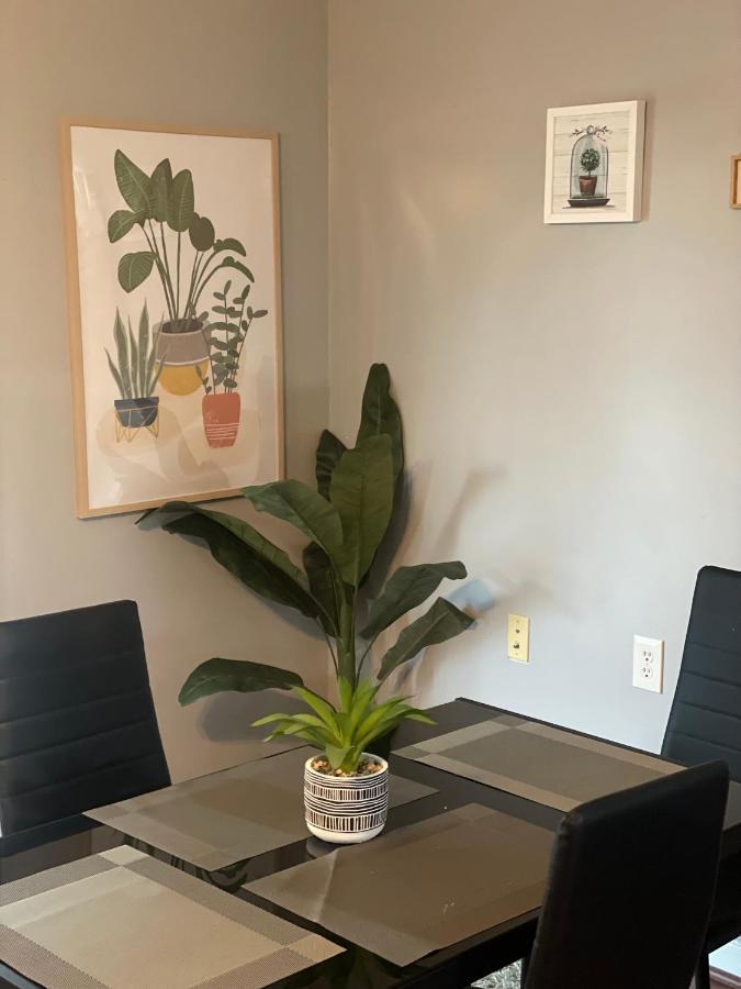 شقة Cute 2-Brm Walkout Apt With Pool Table And Theater ليكسينغتون المظهر الخارجي الصورة